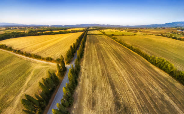 Veduta aerea del Viale dei Cipressi di Bolgheri