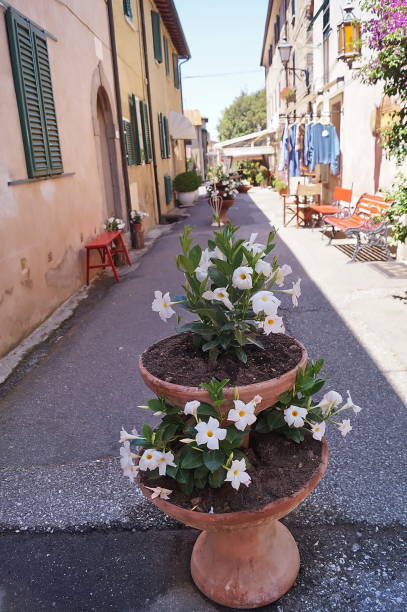 Una via interna del borgo di Bolgheri